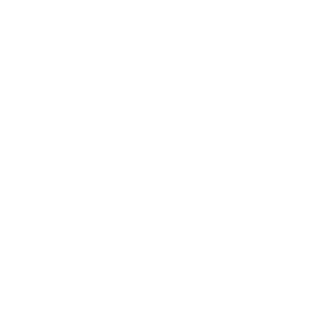 wordpress-simple-brands-4.png
